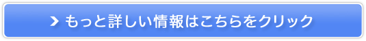 CX`[b`̔TCg